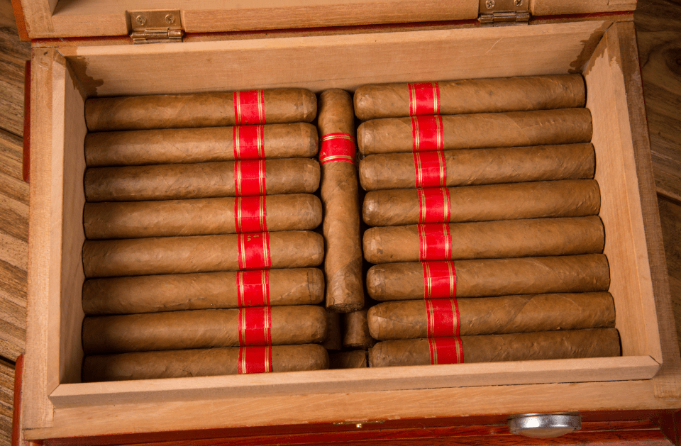CIGARS